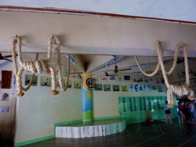 iyengar yoga practice room