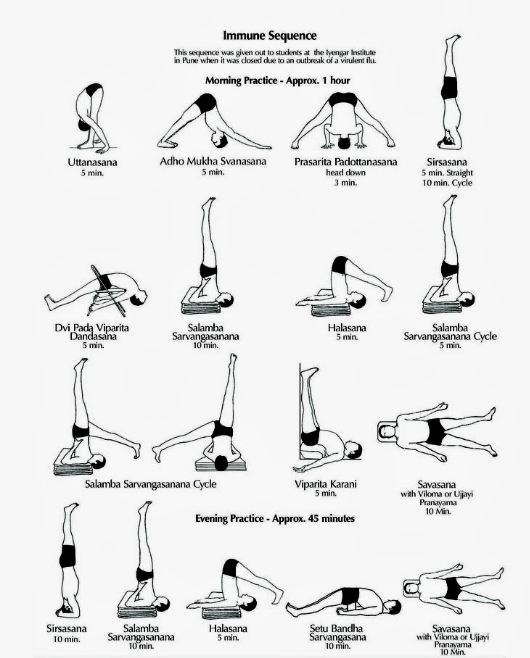 Screen Shot 2020-03-15 at 8.44.20 PM